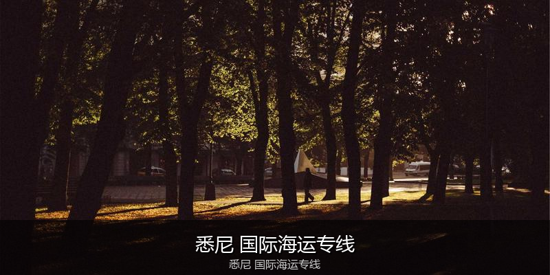 2024年中国到澳大利亚海运价格走势分析
