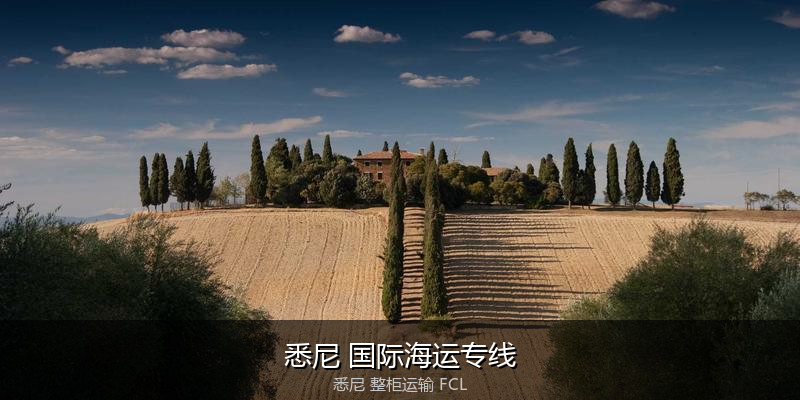 海运拼箱与整柜运输优劣对比